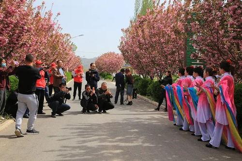 千阳网红地,探寻陕西小城的魅力新地标