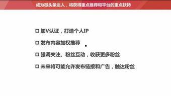 头条文章能看到什么内容,揭秘热点事件背后的真相与趋势
