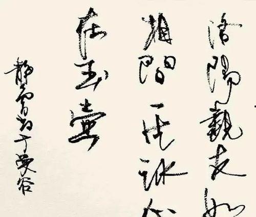 书法 明星,揭秘书法界的璀璨明星