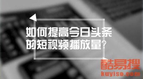 今日头条官方免费培训,解锁新媒体运营高阶技能
