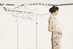 叫佳慧明星,星光璀璨的乐坛新星，闪耀舞台的青春旋律