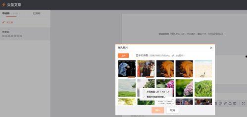 头条上的草稿箱,头条内容创作背后的秘密