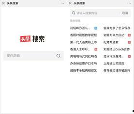 头条引擎搜索客服,一站式解答与支持服务全解析