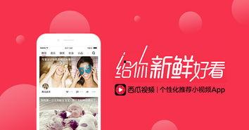 西瓜视频发布到头条首页,揭秘热门视频背后的制作秘籍