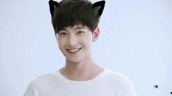 阳光男明星,揭秘阳光男明星的魅力人生