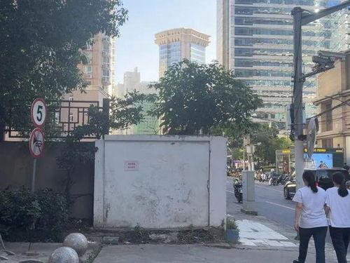 上海嘉定网红 何,揭秘上海嘉定新晋人气王背后的故事