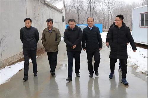 贵州网红王帅,从田间地头到网络红人的蜕变之路