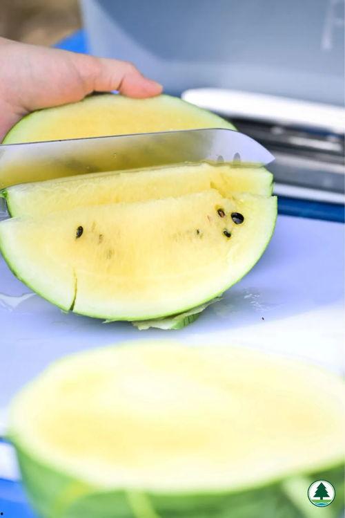 吃瓜最开心的时候,揭秘吃瓜最开心的瞬间