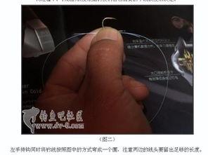 网红栓鱼钩,揭秘钓鱼新潮流