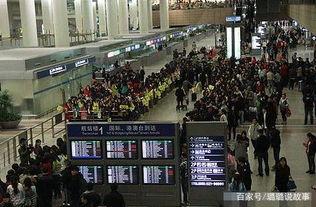 袁立爆料娱乐圈黑料,揭秘明星背后的惊人真相