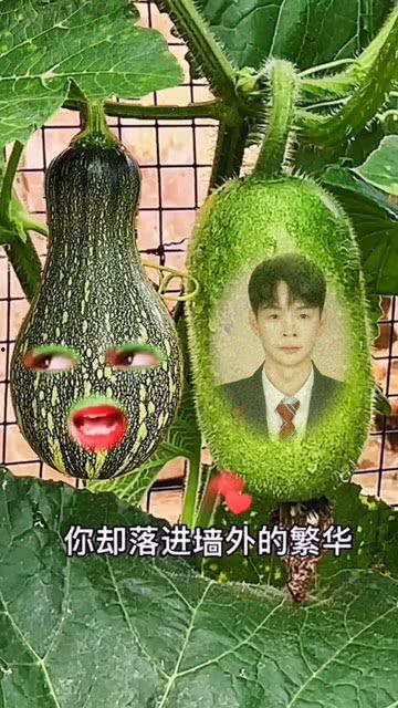 瓜哥吃瓜雷人的特效视频,特效视频笑翻网友