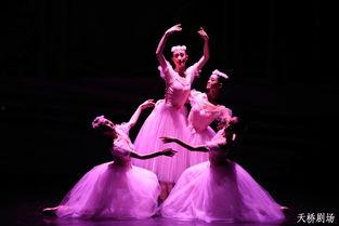 中芭明星,中芭明星风采掠影