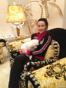 明星刘晓庆的家庭