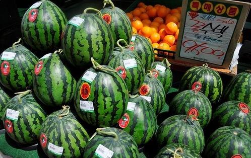 网络吃瓜售卖,揭秘瓜圈售卖背后的秘密