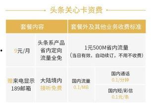 头条套餐包括什么意思呀,一揽子服务，畅享资讯盛宴