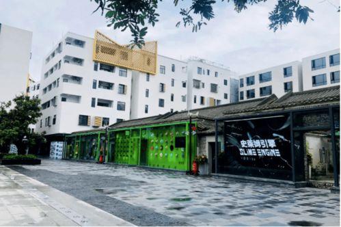 鱼塘网红改造,一场生态与创意的完美邂逅