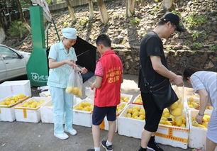 娱乐吃瓜酱贫困户